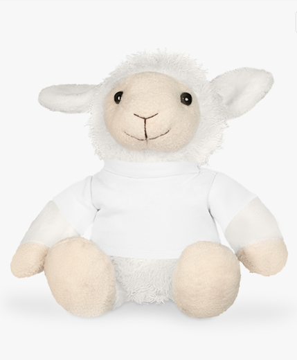 Plush Toy with T-Shirt